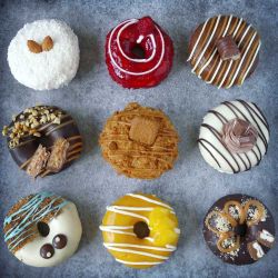 co-Donuty-spolecna-kompozice-vyber-S